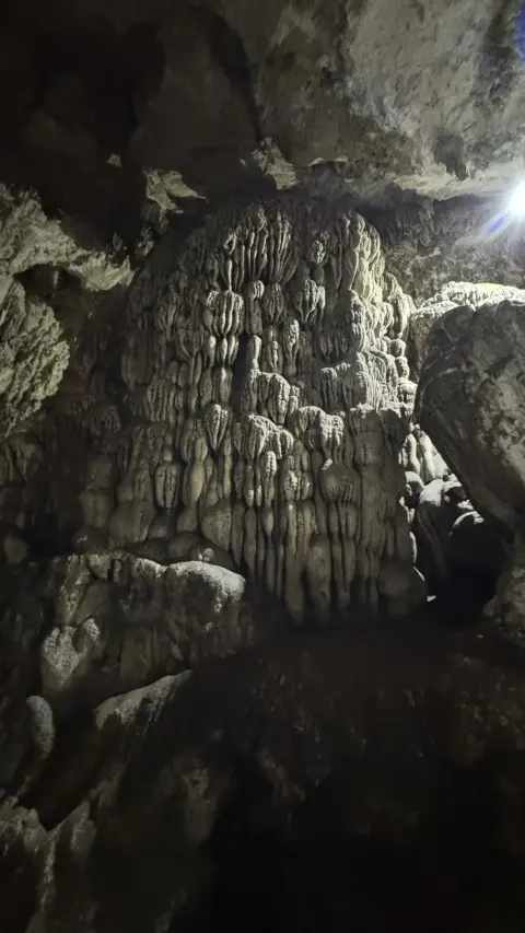 Formación de estalactitas iluminada en las Grutas del Mamut